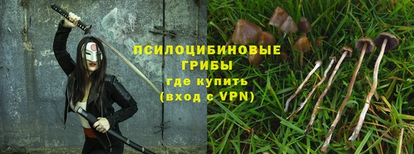 прущий лед Балахна