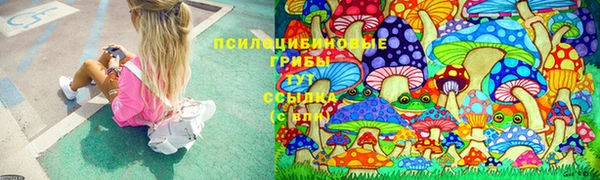 ALPHA-PVP Баксан