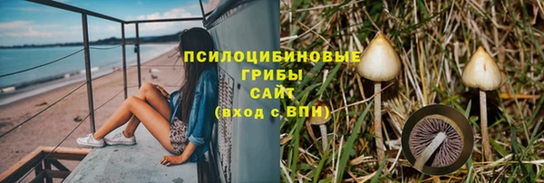 сатива Балабаново
