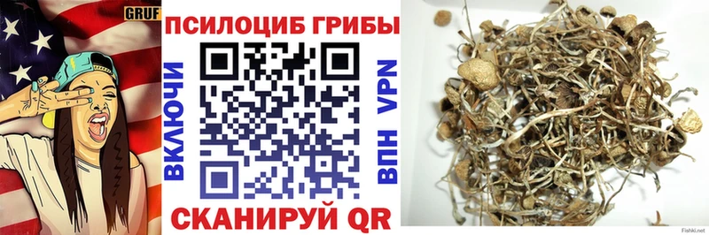 Псилоцибиновые грибы мицелий  Зима 