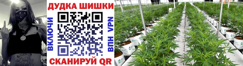 нарко площадка официальный сайт  Зима  МАРИХУАНА индика 